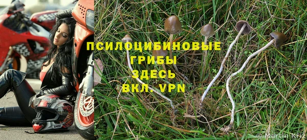 PSILOCYBIN Абинск