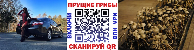 Галлюциногенные грибы мухоморы Бобров